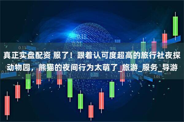 真正实盘配资 服了！跟着认可度超高的旅行社夜探动物园，熊猫的夜间行为太萌了_旅游_服务_导游