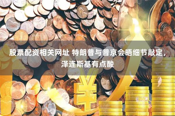 股票配资相关网址 特朗普与普京会晤细节敲定，泽连斯基有点酸